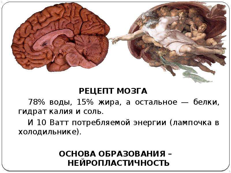 Мозг рецепты. Текст для мозга.