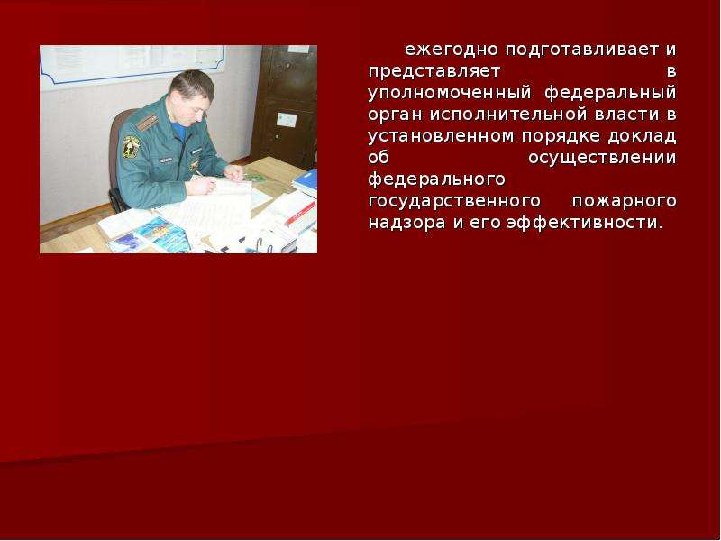 Федерального государственного пожарного надзора россия. Органы государственного пожарного надзора.
