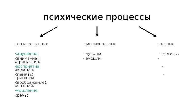 Процессы психики. Психические процессы схема. Познавательные процессы волевые процессы эмоциональные. Виды психических процессов (когнитивные, волевые, эмоциональные).