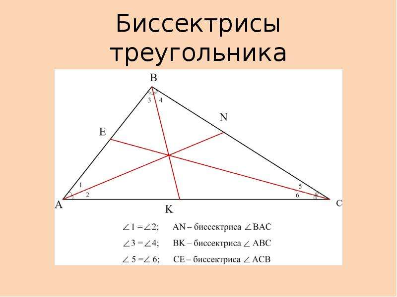 Сумма биссектрис треугольника. Биссектриса в произвольном треугольнике. Свойство биссектрисы треугольника чертеж.