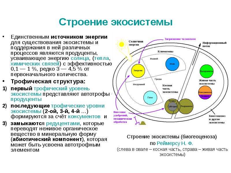 Описание экосистемы поля