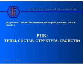 Типы, состав, структура, свойства РНК. (Лекция 5)