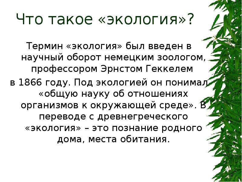 Что такое экология кратко. Экология. Термин «экология» был введен в научный оборот в:. Термин экология.