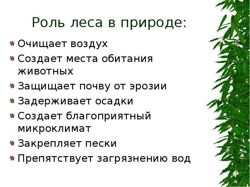 Как очистить природу план