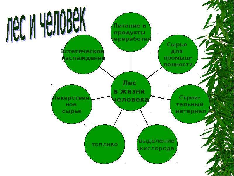 Презентация 2 класс экологический календарь перспектива