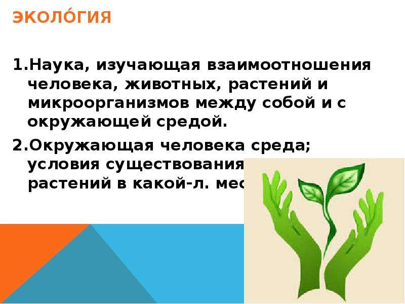 Наука изучающая среду. Условия существования для растений и животных. Экология наука изучающая взаимоотношения. Экология это наука изучающая. Экология растений животных человека это.