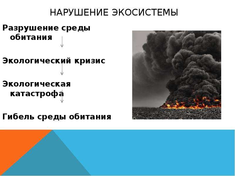 Презентация нарушение экологического равновесия обж 5 класс