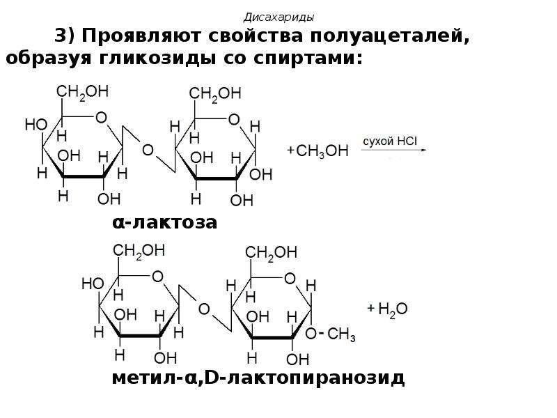 Презентация про дисахариды