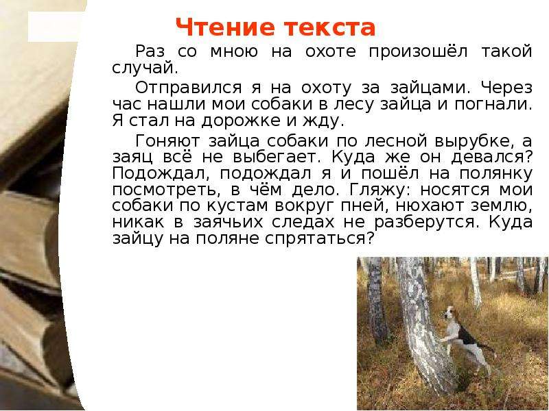 План скребицкий лось