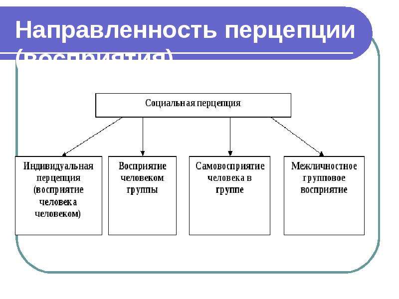 Социальная перцепция это