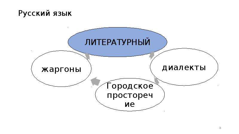 За пределами литературного языка находится