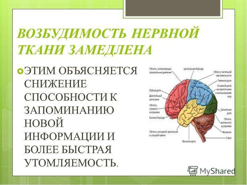 Нервная система в пожилом возрасте. Анатомо-физиологические изменения в пожилом и старческом возрасте. Возбудимость нервной ткани. Физиологические изменения у пожилых. Анатомо физиологические особенности пожилого возраста.