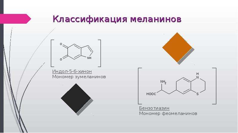 Какая функция меланина