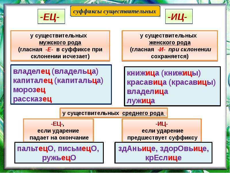 Правописание имен существительных презентация