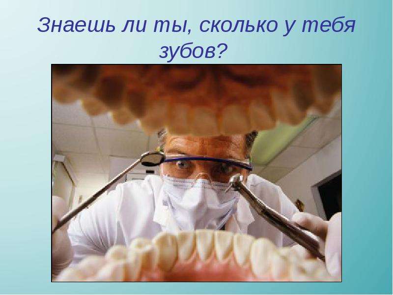 Знаешь ли ты, сколько у тебя зубов?