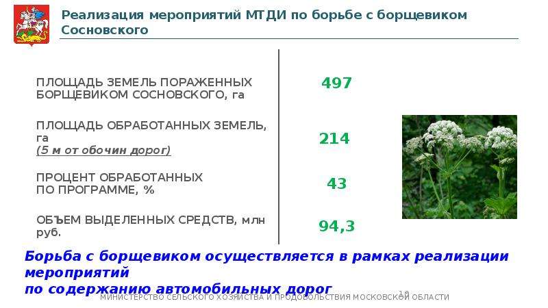 Карта распространения борщевика