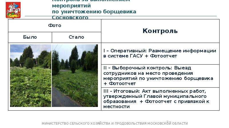 Карта распространения борщевика сосновского