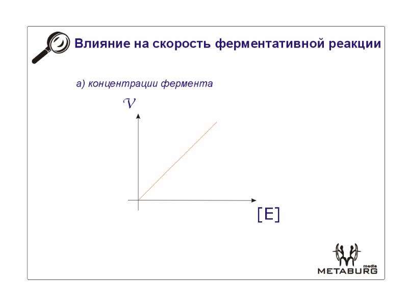 Скорость ферментативной реакции. Влияние на скорость ферментативной реакции. Факторы влияющие на скорость ферментативных реакций. Что влияет на скорость ферментативной реакции. Влияние концентрации фермента на скорость ферментативной реакции.