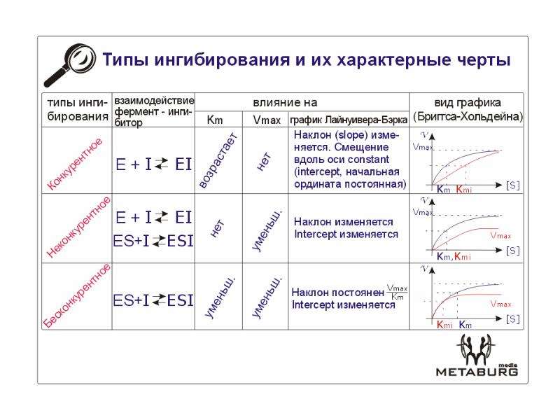 Ферментативные реакции презентация