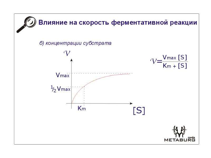 Скорость воздействия. Скорость ферментативной реакции. Влияние концентрации фермента на скорость ферментативной реакции. Кривая скорости ферментативной реакции. Влияние концентрации субстрата на скорость реакции.