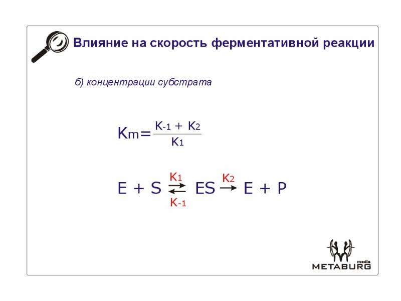 Схема ферментативной реакции