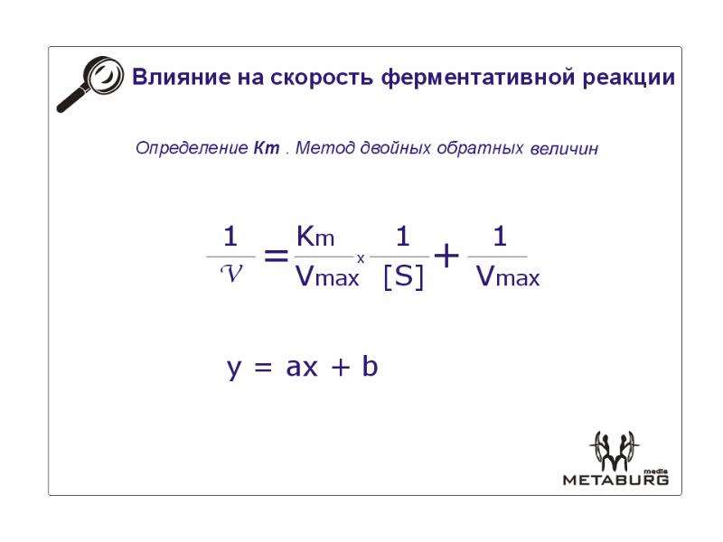 Скорость ферментативной реакции. Способы измерения скорости ферментативной реакции. Метод двойных обратных величин. Что влияет на скорость ферментативной реакции. Влияние температуры на скорость ферментативной реакции.