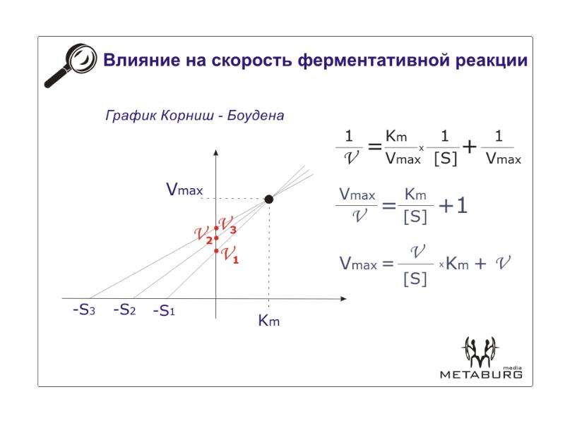 Окажет влияние на скорость. Корниш-Боудена. Метод Корниш Боудена. Влияние различных факторов на скорость ферментативной реакции. Факторы влияющие на скорость ферментативных реакций.