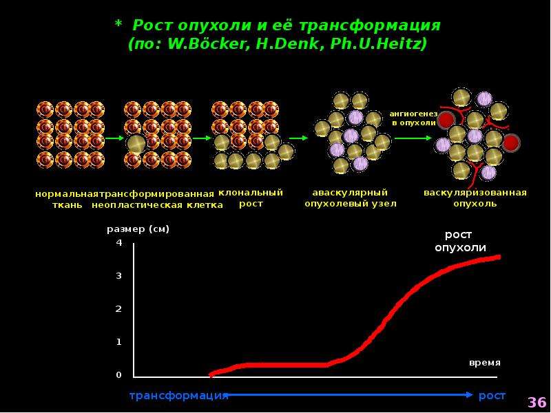 Патофизиология опухолевого роста презентация