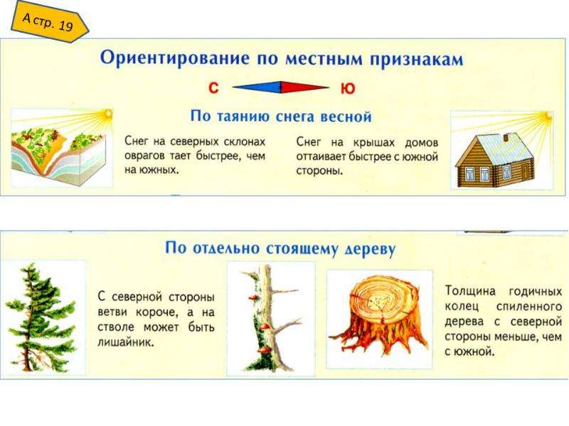 Ориентирование на местности по местным признакам презентация