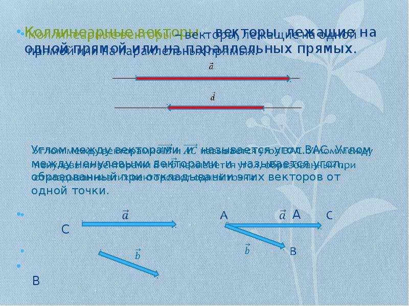 Векторы лежащие на одной прямой коллинеарны