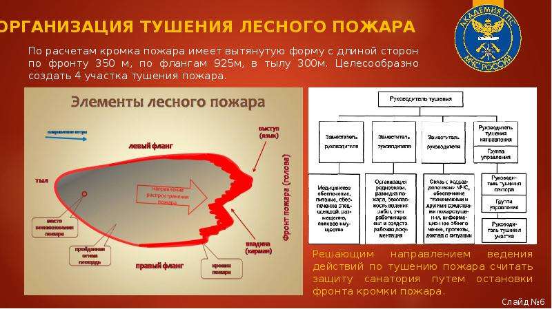 Составление плана тушения лесного пожара