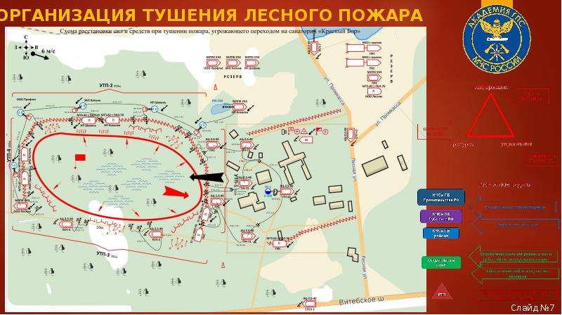 План тушения лесных пожаров на территории муниципального образования