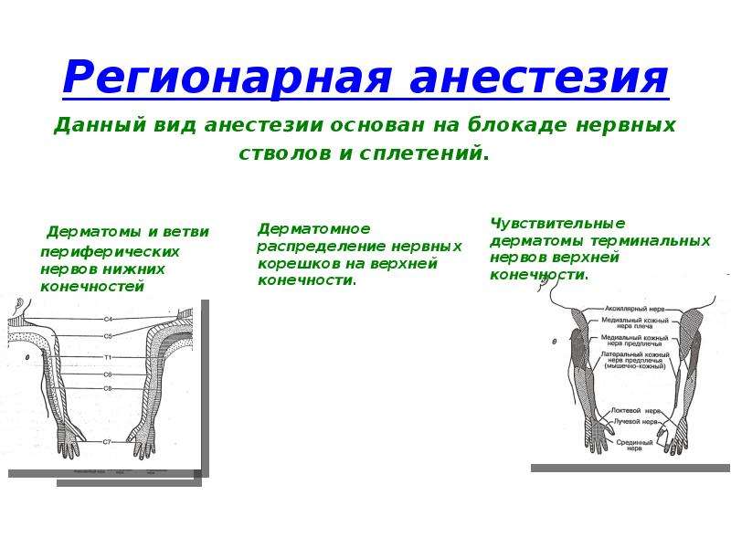 Регионарная анестезия у детей презентация