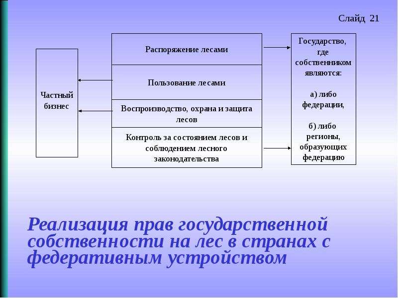 Реализация 23. Право распоряжения лесами это. Лес в государственной собственности. Право распоряжения лес. Распоряжение лес.