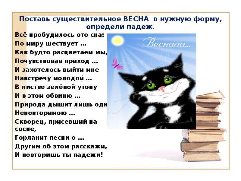 Ставлю существительное