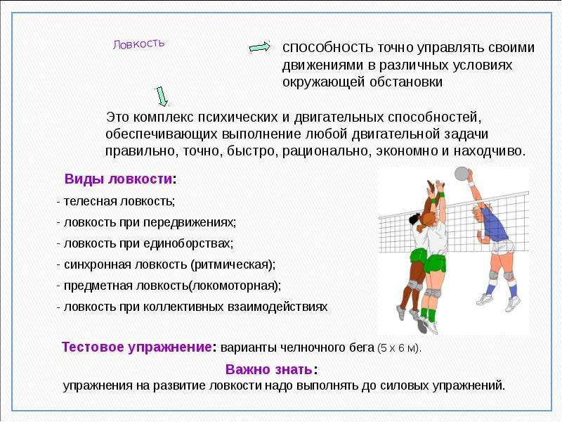 Волейбол как один из факторов развития школьников проект