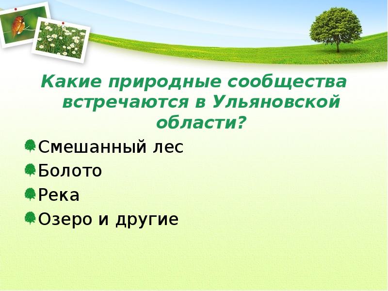 Природные сообщества. Природное сообщество Ульяновской области. Какие природные сообщества встречаются. Природные сообщества Ульяновской. Какие природные сообщества встречаются в Ульяновской области.