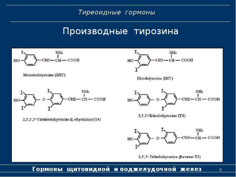 Схема синтеза тиреоидных гормонов