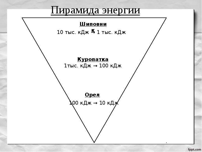 Пирамида энергии рисунок