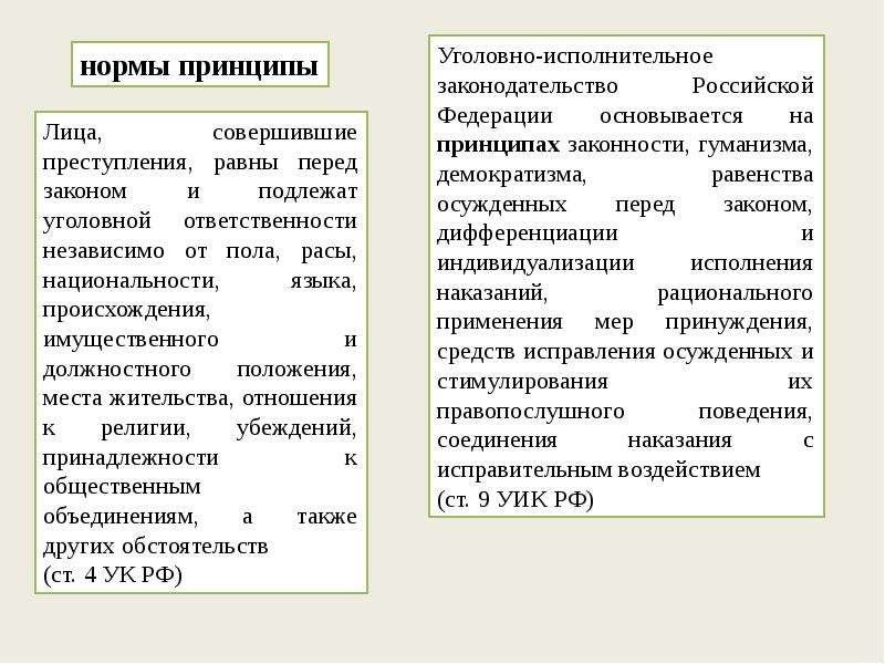 Что в уголовном праве означает принцип законности. Принципы уголовно-исполнительного законодательства. Принцип гуманизма и демократизма. Принцип соединения наказания с исправительным воздействием. Дифференциация и индивидуализация исполнения наказания.