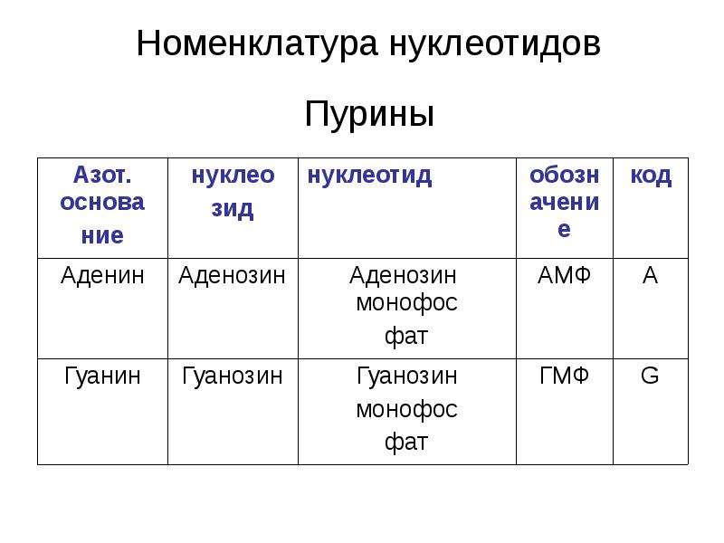 Таблица нуклеотидов. Номенклатура нуклеотидов. Номенклатура нуклеотидов и нуклеозидов. Гуанин номенклатура. Номенклатура нуклеотидов аденин.