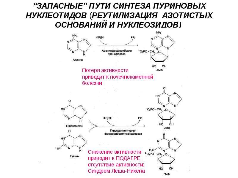 Синдром леша нихана презентация