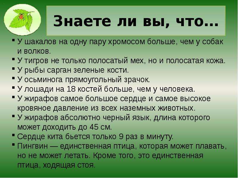 Рассказ знаете ли. А знаете ли вы что интересные факты. А вы знали что интересные факты. Рубрика знаете ли вы интересные факты. Интересная информация для школьников.