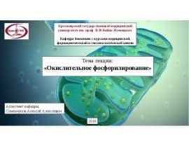 Окислительное фосфорилирование