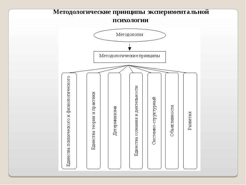 Проект по экспериментальной психологии