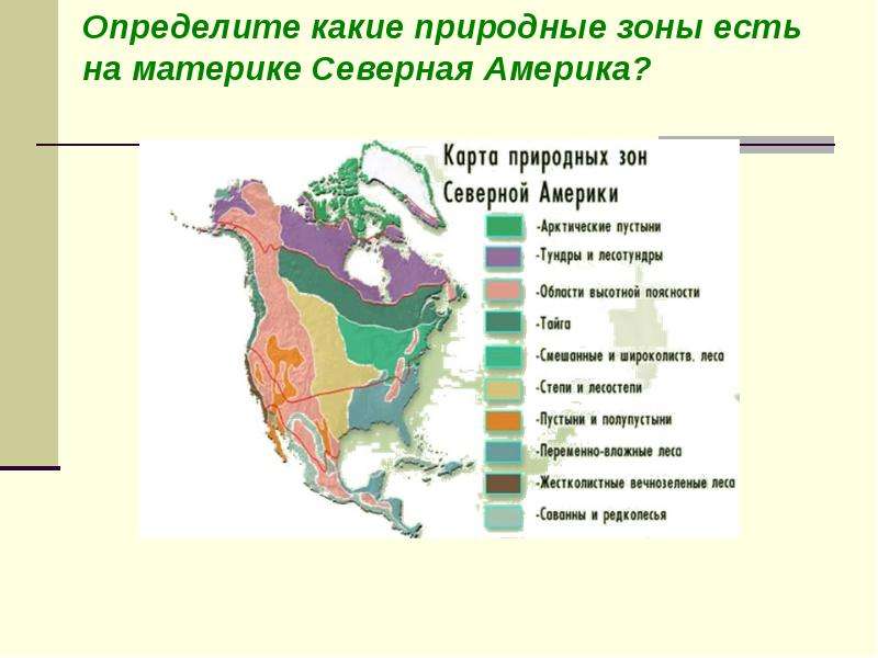 План характеристики природной зоны северная америка