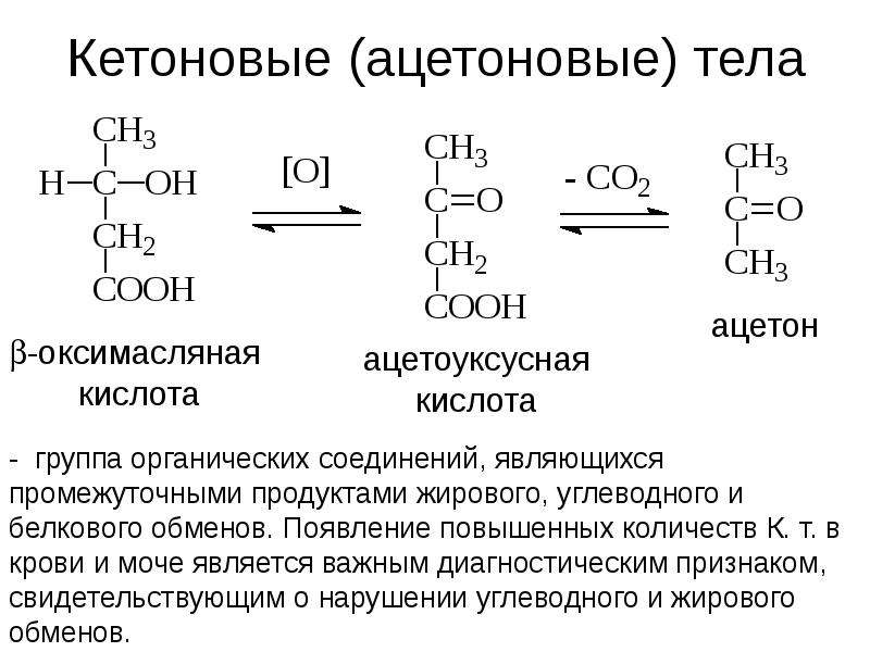 Гетерофункциональные кислоты презентация