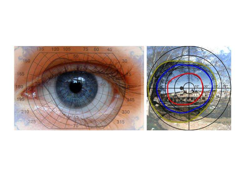 Око главная. Скотома глаза. Поле зрения 90. Прозрачная скотома. Система четкости зрения 1.