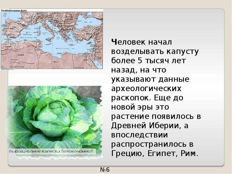 Презентация о происхождении культурных растений наиболее распространенных в вашей местности