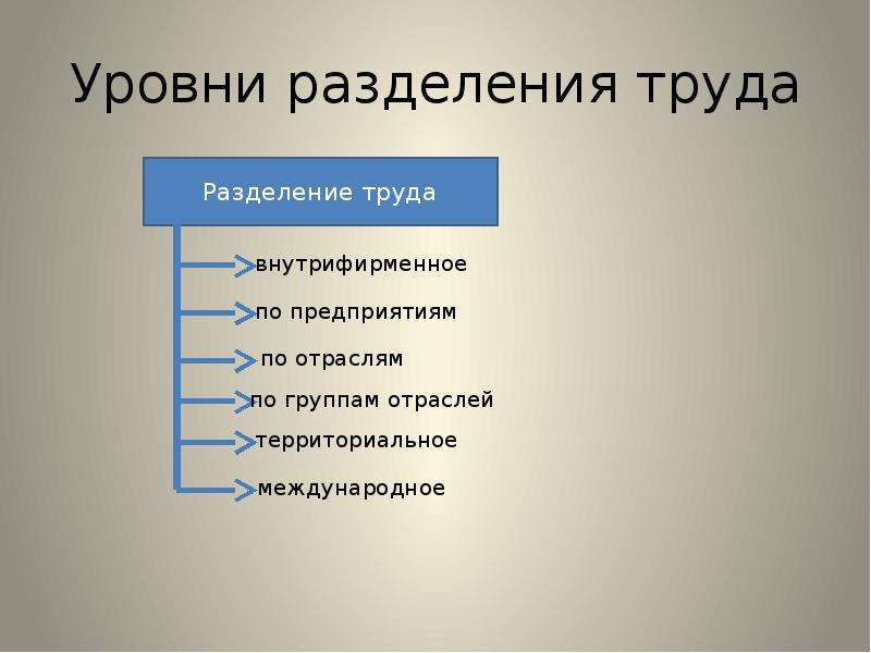 Отрасли группы а и б. Уровни разделения труда. Уровни разделения труда Обществознание. Экономическая организация общества. Отрасль.